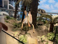 -辽宁古生物博物馆