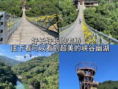 -呀诺达热带雨林