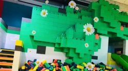 -恐龙探索乐园(磁器口店)