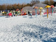 -青龙湖公园