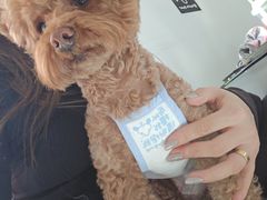 -FAELING PETS美天灵宠物(合生汇店)
