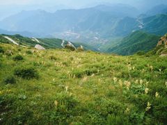 -白草畔自然风景区