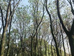 -艾溪湖湿地公园