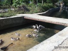 -英西峰林·洞天仙境