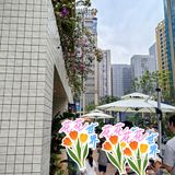 南门小豆海棠好吃不?排队的人真心好多啊😦