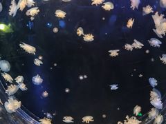 -华夏文旅西安度假区