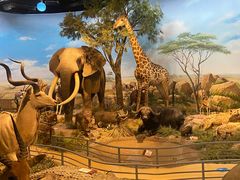 -陕西自然博物馆