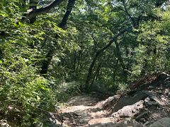 -阳台山自然风景区