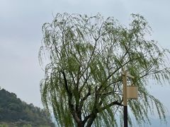 -东钱湖小普陀景区