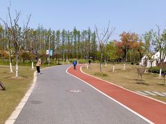 -上海长兴岛郊野公园