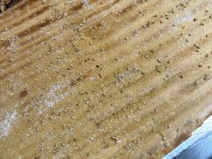 -勃利地摊·勃立小串烧烤