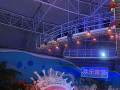 -烟台海昌鲸鲨海洋公园