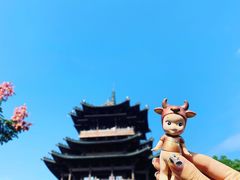 -杭州半山国家森林公园