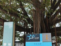 -均和墟历史街区-平和大押