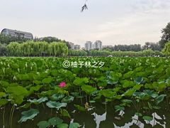 -中国农业博物馆