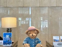 -郑州美盛喜来登大酒店
