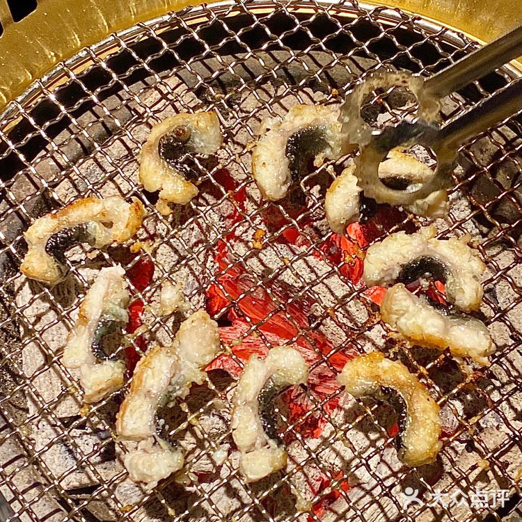 成都坠好吃的日式烧肉 M12纯血和牛太顶了‼️