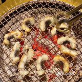 成都坠好吃的日式烧肉 M12纯血和牛太顶了‼️