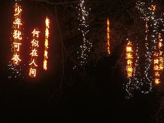 -万绿园