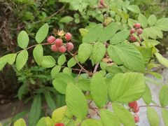 -仙海旅游度假区