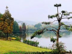 -浙江农林大学(东湖校区)