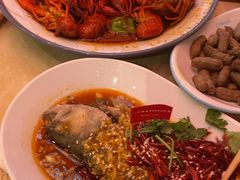 -杨氏青龙虾·羊蝎子(珠江路店)