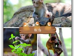 -三亚南山文化旅游区