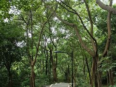 -广州市白云山风景名胜区