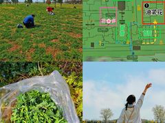 -汉长安城未央宫国家考古遗址公园