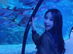 -太平洋海底世界