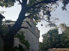 -开平碉楼文化旅游区马降龙景区