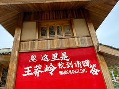 -王莽岭风景区