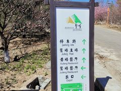 -北京鹫峰国家森林公园