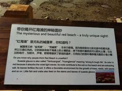 -红海滩国家风景廊道