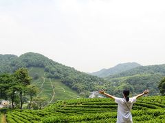 -十里琅珰