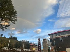 -小志家.野生菌鲜切牦牛肉牛杂火锅