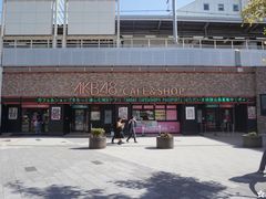 -秋叶原电器街