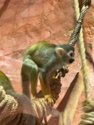 -Zoolung Zoolung动物主题公园(海信广场店)