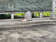 -八卦田遗址公园