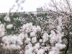 -居庸关长城