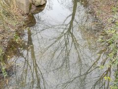 -新江湾城公园