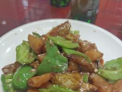 -邵年鸽(杨庄店)