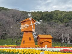 -苏州上方山国家森林公园
