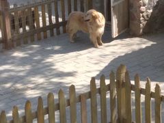 -北京市海淀外国语实验学校