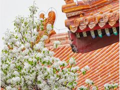 -故宫博物院(故宫)