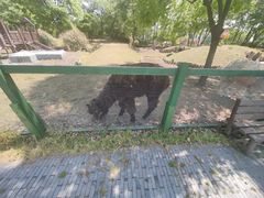 -田园东方蜜桃村的田野营地