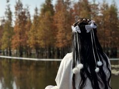 -白鹭湾湿地公园