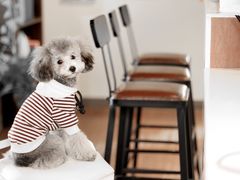 -默迹咖啡馆