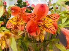 -昆明国际花卉拍卖交易中心