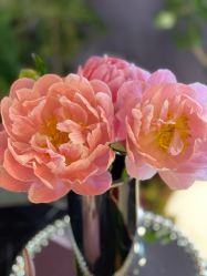 -花隐·美芙炫海菲秀皮肤管理中心